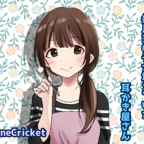 【同人ASMRレビュー】毎月女の子が増えていた耳かき屋さん