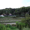 風土病の民俗学―六甲山東麓における「斑状歯」をめぐって―