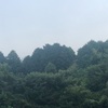 今朝の景色