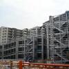 大きいね