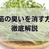 豆苗の臭いを消す方法まとめ：下処理・再生栽培・簡単レシピまで徹底解説