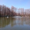 埼玉県のここにしかない魅力#37さいたま市南区