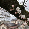 高岡市立定塚小学校