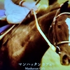 2024年4月27日放送「FUNK！ ／ マンハッタンカフェ」