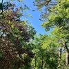 砂浜散歩、またボウズです…｡シロギス狙いの海釣り日和な筈でした。 #サーフ散歩