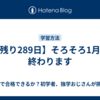 【残り289日】そろそろ1月が終わります