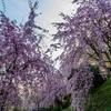 幸田文化公園へ、、