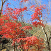 三条の湯から雲取山・三峯神社縦走登山！料金・混雑・評判とテント泊デビュー！前編