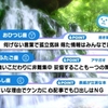 11位：表紙が立派な本