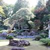 瑞楽園は秋のお出かけにぴったり！見学無料で日本庭園を堪能できる