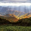 白菜の漬物！　朝鮮漬けって何だろう？