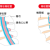 脊柱管狭窄症の内服薬