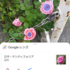 Pixel 3 XLを購入しました