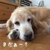 宿題が終わらない。。。