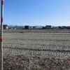 市販の肉団子に