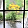 雨がやむのを待つ間に、一歩踏み出してみた