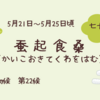 【七十二候】第２２候　蚕起食桑（かいこおきてくわをはむ）：本格的な夏へ！湿気と疲労を乗り切る薬膳養生法
