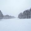 新雪に躓きがちなスキー場（池の平温泉スキー場）