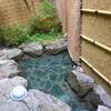 二岐温泉　旅館ふじや　山野草も咲く緑に囲まれた露天風呂に日帰り入浴