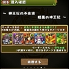 パズドラ　48日目　神王妃の不夜城　ヘラ　終に攻略！