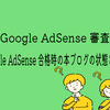 【2022年最新版！Google AdSense 審査】 合格時の本ブログの状態と考察