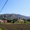 春の高峯（竜神山）