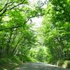 涼しかった蔵王の御釜＊暑すぎた山寺