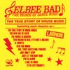  Elbee Bad The Prince Of Dance Music / The True Story Of House Music