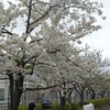 近くの浄水場傍の