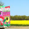 『長池憩いの森公園の「チューリップ」』（新潟県 胎内市）～胎内市 チューリップ フェスティバル～