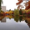 札幌市　中島公園　20211031　/　ここの紅葉が一番カラフル