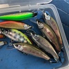 吉田川厳しい釣りでした