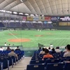 高校野球　東京大会　東京ドーム