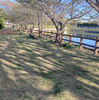 朝の見廻り