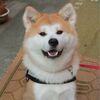 前科もち