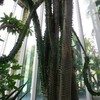 シーズンの初の一人鍋。