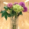 お花に癒されます♪ ＆ １１月２８日（木）と３０日（土）はお休みとなりますm(_ _)m
