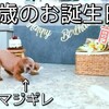 夜ふかしが好き♪