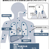 歯周病病治と肝炎・糖尿病