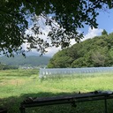 くろやなぎ農園　農園便り