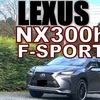 レクサス　NX300ｈ F-SPORT　ボディケア一回目 コーティング面の洗浄