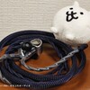 おやすみ