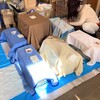 繁殖期がやって来る、その前に。