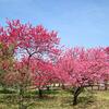 富山県中央植物園