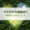 根っこガチガチ！ほぐれない「根詰まり」のほぐし方