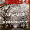 ●《30年以上も放出が続けば長い半減期の放射性物質の総量は増え続けることにならないか。微量でも人体に入れば内部被ばくが起きる可能性》