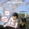 2025春・solaとBaby怪獣の桜後編・一眼レフで勝手にバトル