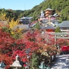 紅葉２０２３　信貴山朝護孫子寺