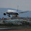  NH JA742A B777-200(ER) 2013/2/9