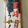 中1夏休み長野県旅行記⑩｢甲府駅へ。｣